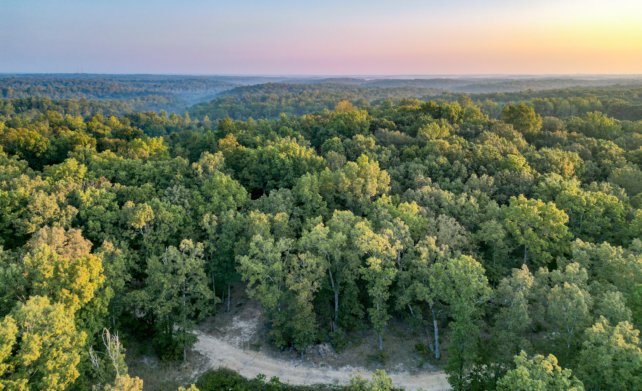 0 C C C Road Fairview, TN 37062 - Photo 18 of 35 a view of a city with lush green forest