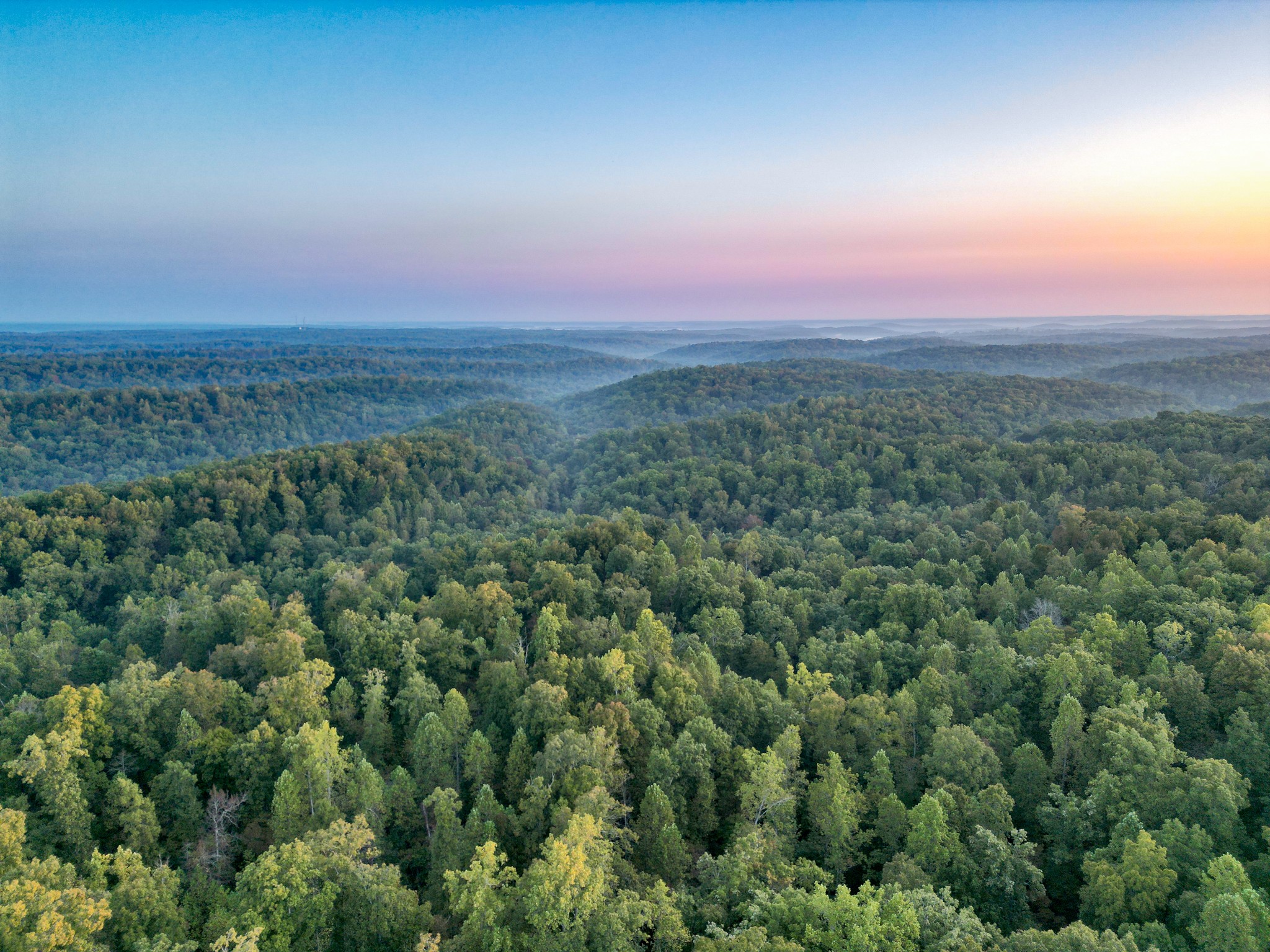 0 C C C Road Fairview, TN 37062 - Photo 21 of 35 an aerial view of residential houses with outdoor and green space