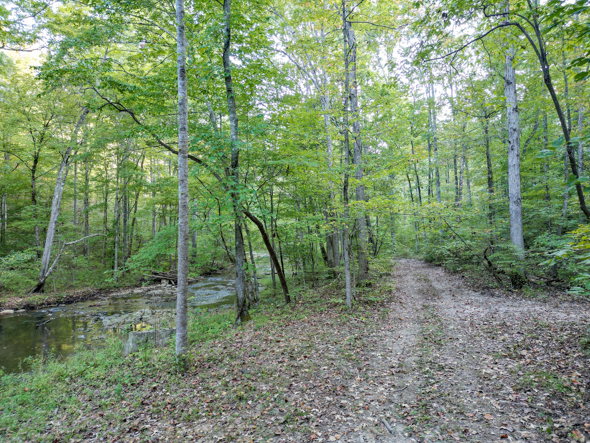 0 C C C Road Fairview, TN 37062 - Photo 23 of 35 a view of outdoor space and green space