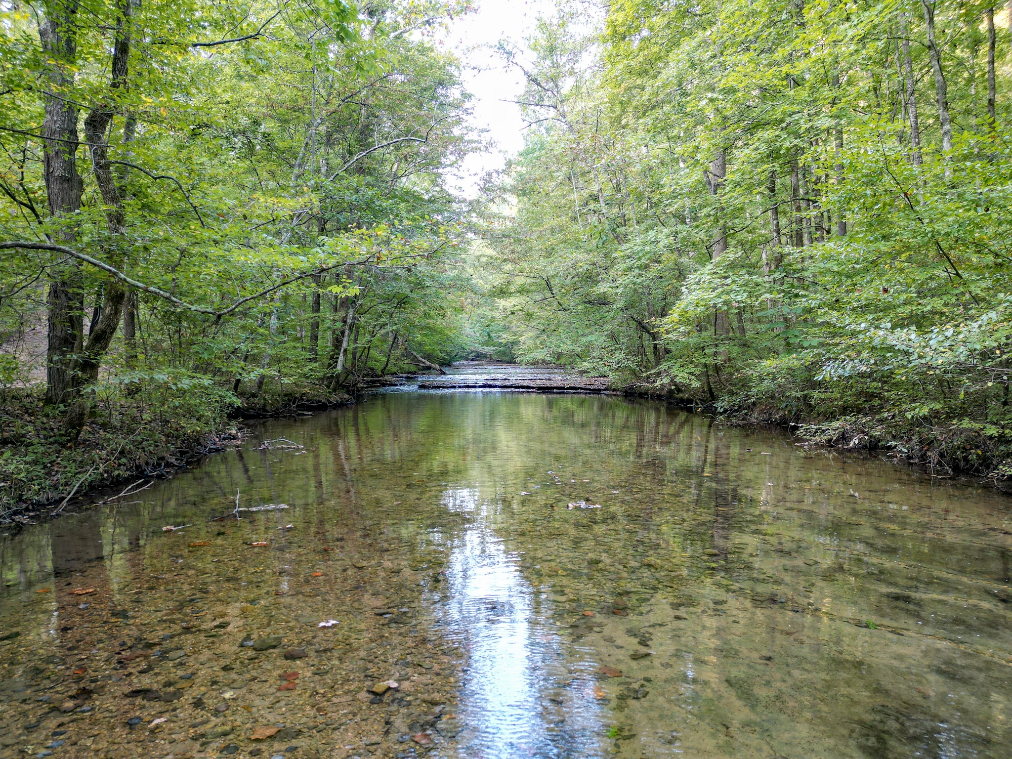 0 C C C Road Fairview, TN 37062 - Photo 24 of 35 a view of a lake view