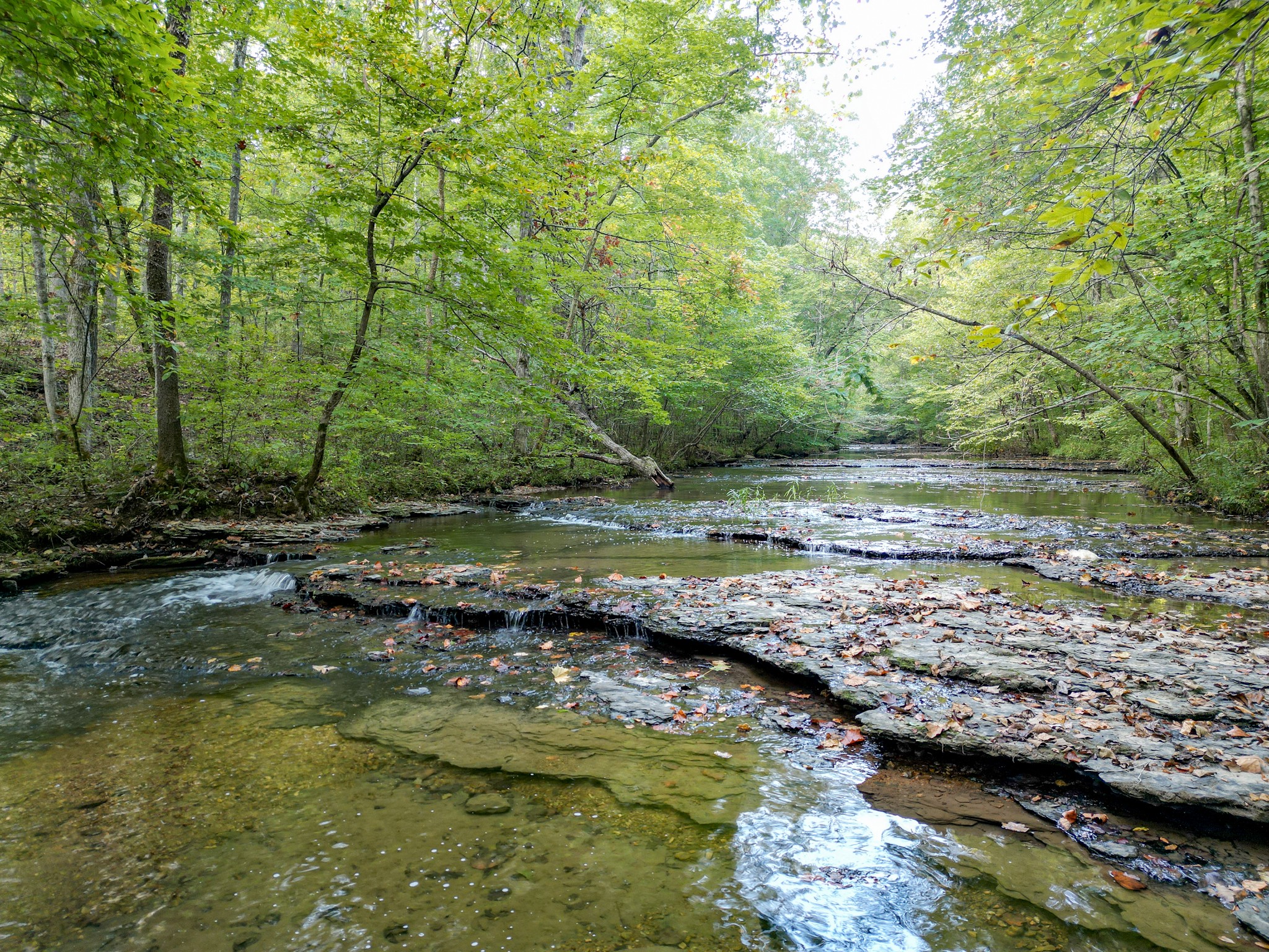 0 C C C Road Fairview, TN 37062 - Photo 25 of 35 a view of a lake with large trees