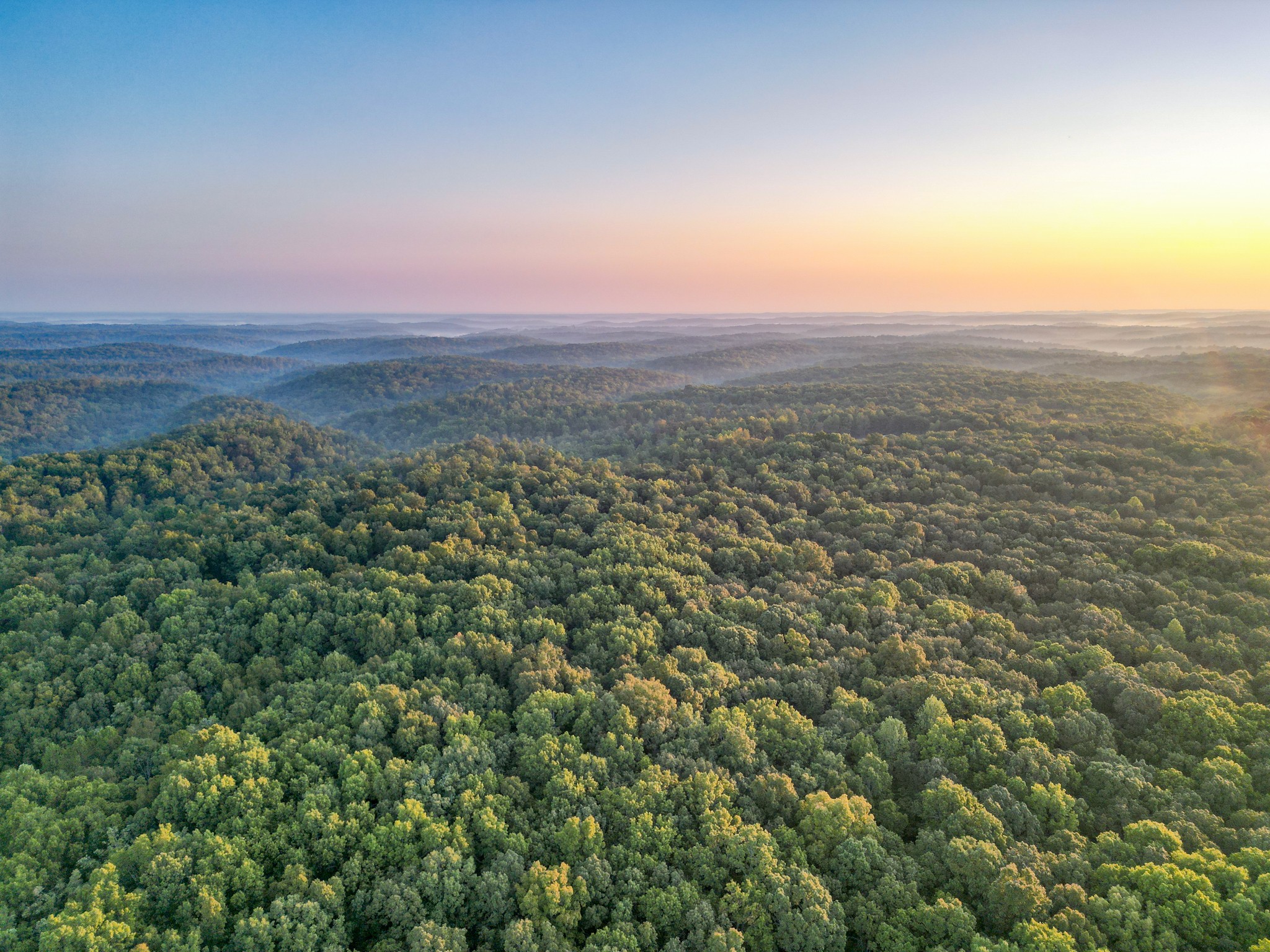 0 C C C Road Fairview, TN 37062 - Photo 26 of 35 an aerial view of residential houses with outdoor space