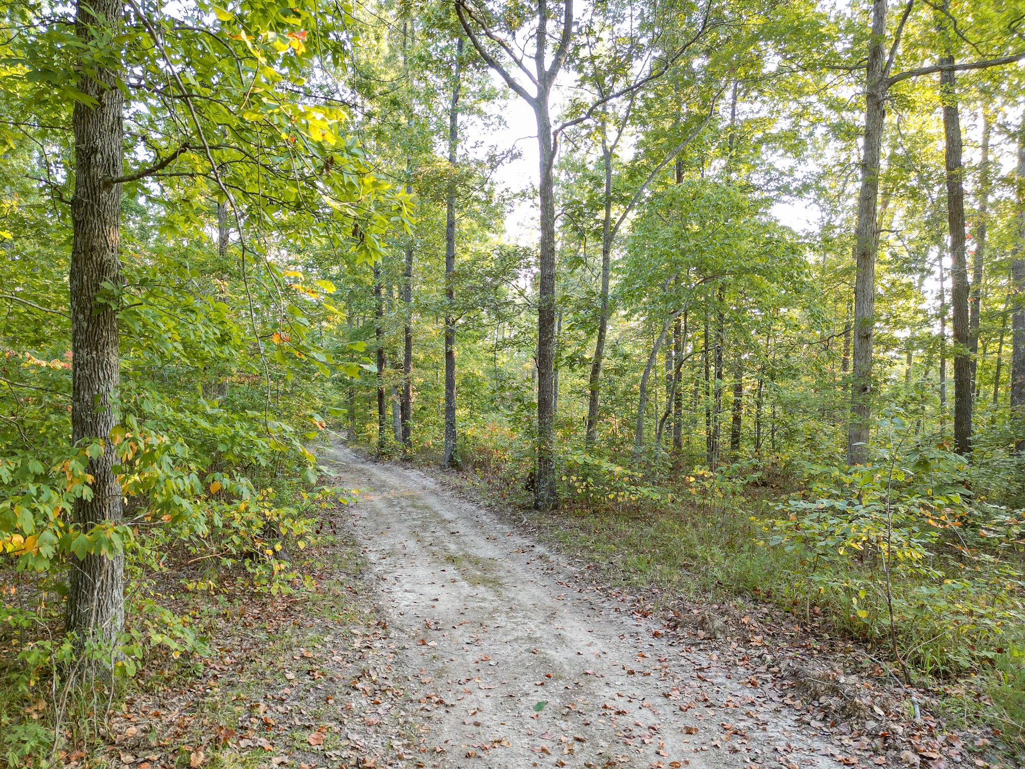 0 C C C Road Fairview, TN 37062 - Photo 28 of 35 a view of outdoor space and green space