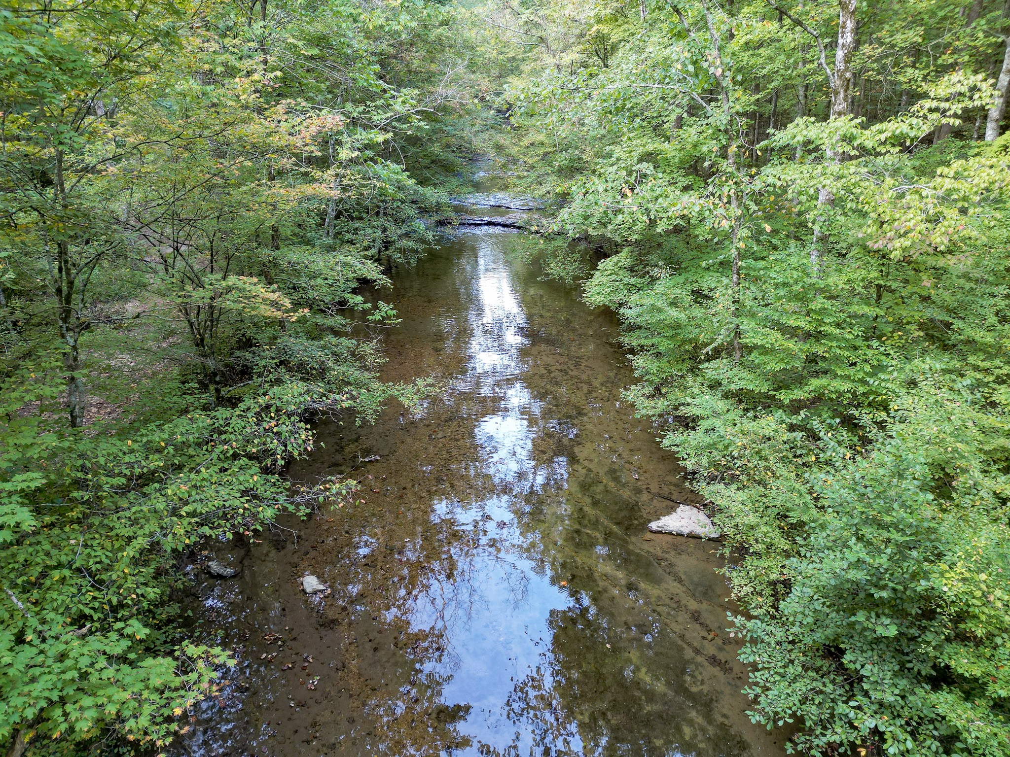 0 C C C Road Fairview, TN 37062 - Photo 29 of 35 a view of a yard