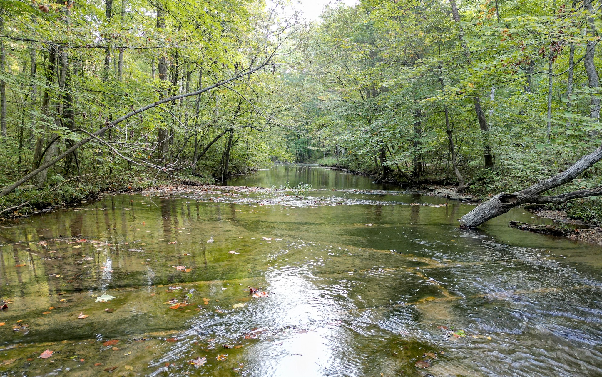 0 C C C Road Fairview, TN 37062 - Photo 33 of 35 a view of a lake view