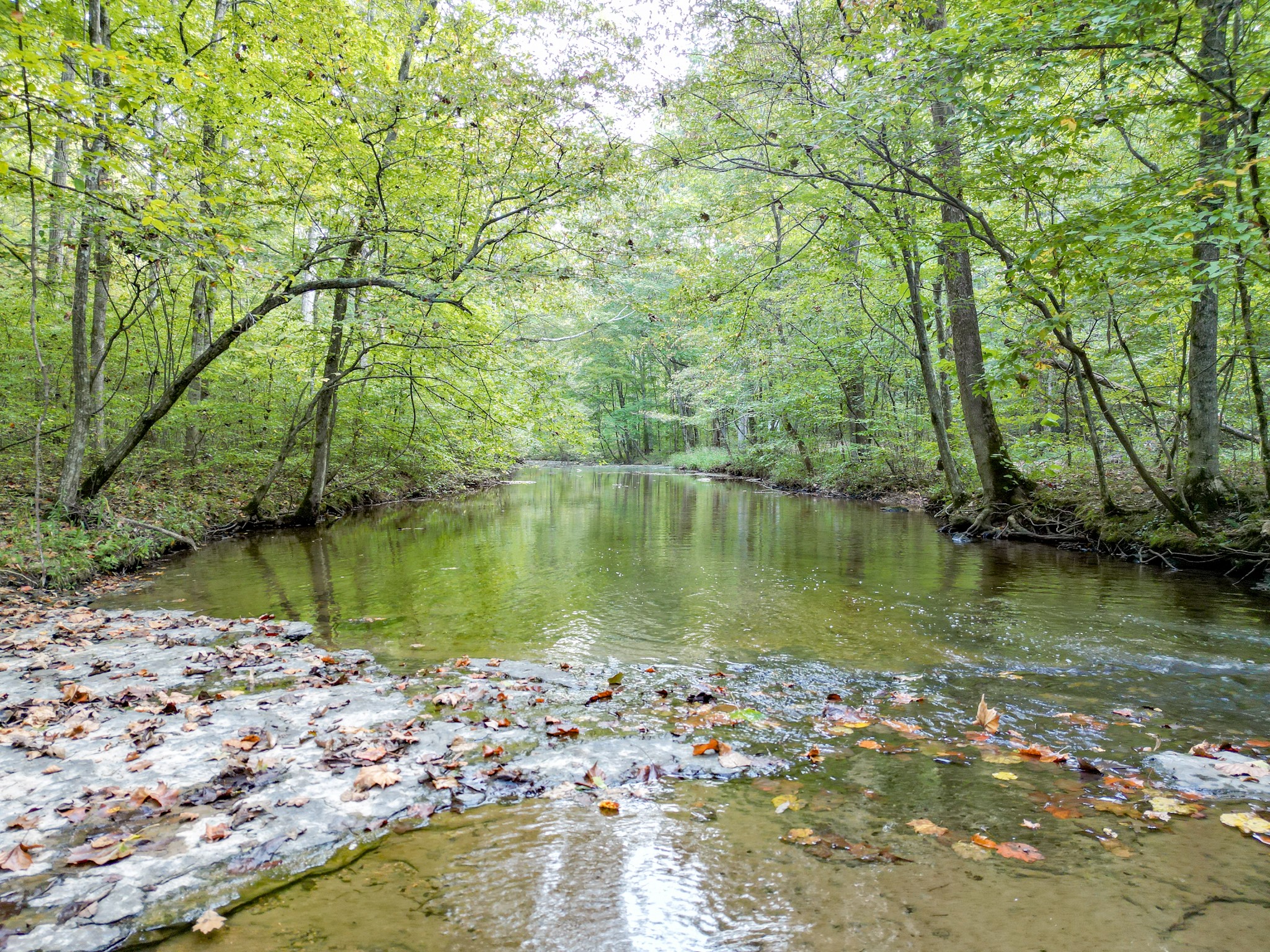 0 C C C Road Fairview, TN 37062 - Photo 35 of 35 a view of lake
