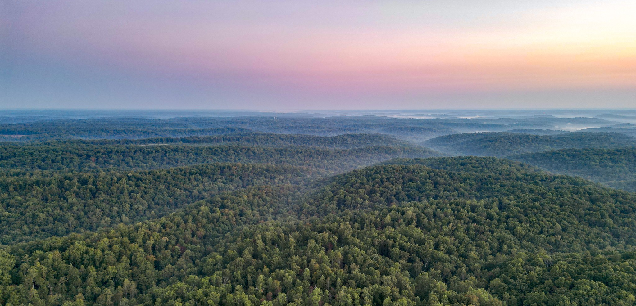 0 C C C Road Fairview, TN 37062 - Photo 5 of 35 a view of a big yard with an outdoor seating