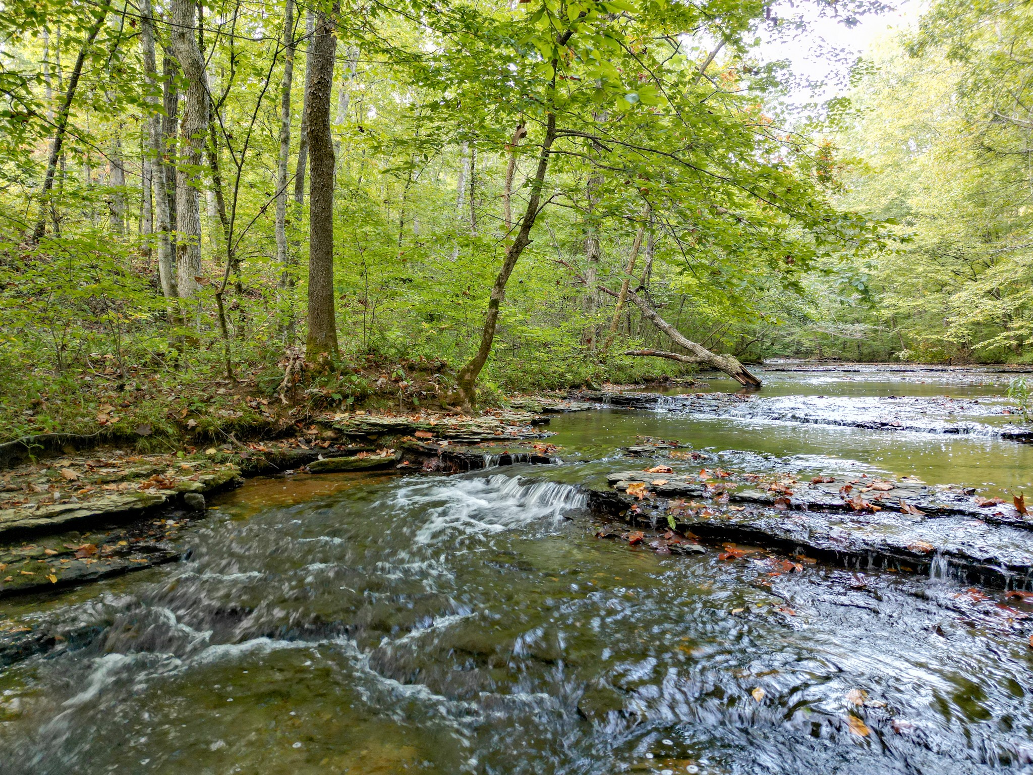 0 C C C Road Fairview, TN 37062 - Photo 6 of 35 a view of a lake with houses