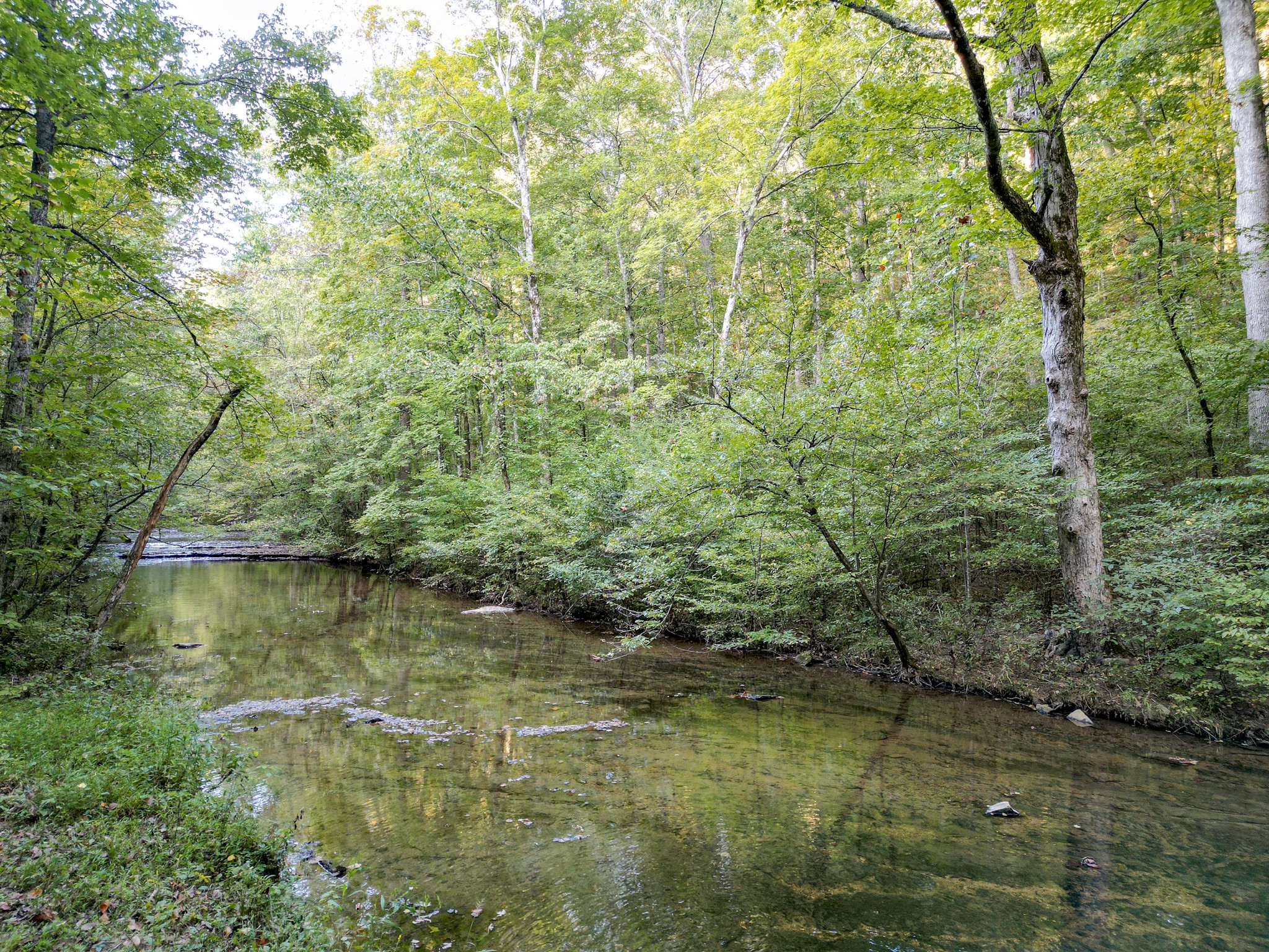 0 C C C Road Fairview, TN 37062 - Photo 7 of 35 a view of a lake with houses