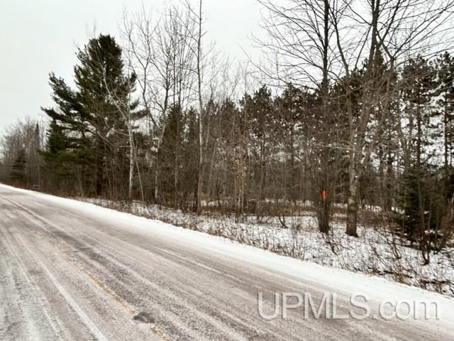 Tbd3 Larson Road Atlantic Mine, MI 49905 - Photo 1 of 1 Gallery Image 1