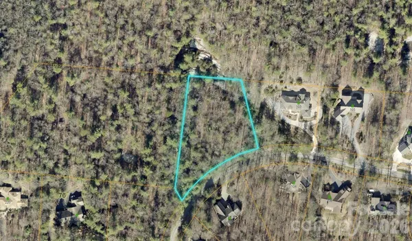 a close up of a plant