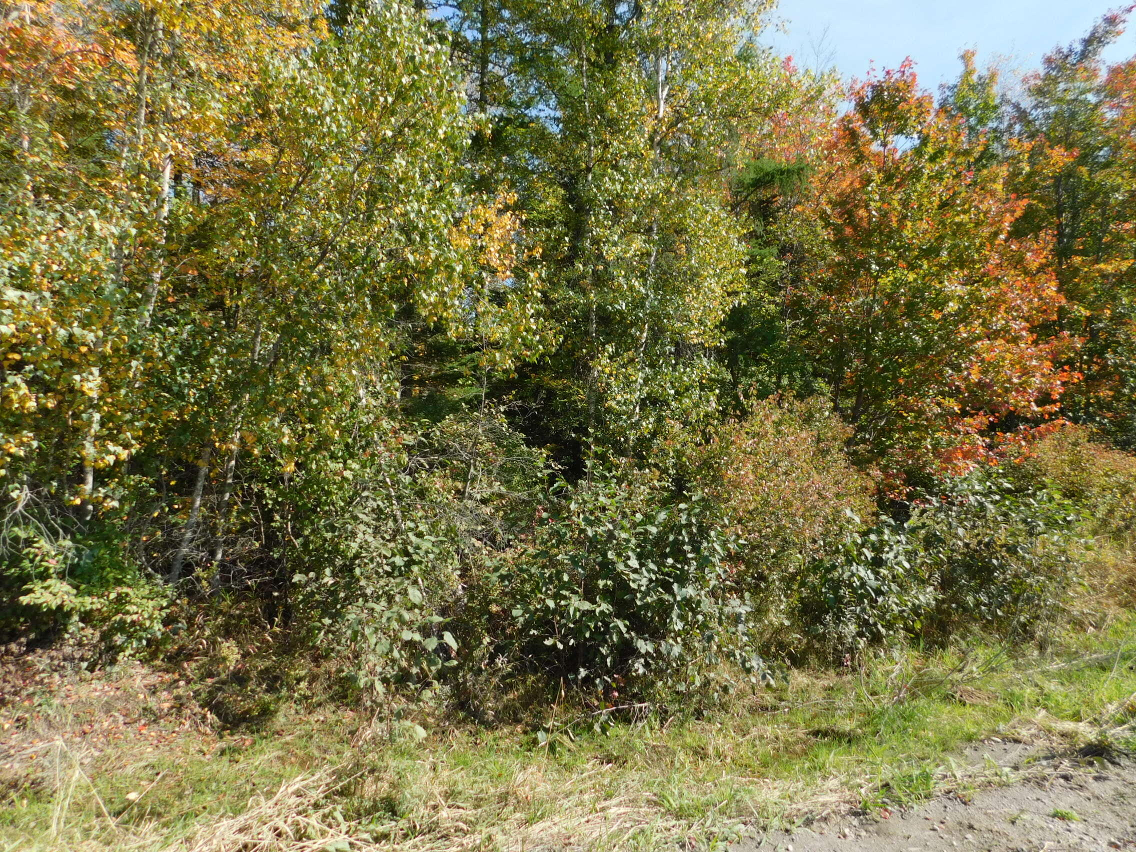 0 Steam Mill Road, Unit LOT 2 Cornville, ME 04976 - Photo 4 of 6 DSCN1538