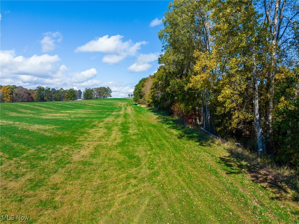 Emerick Road Kensington, OH 44427 - Photo 45 of 50 View of green lawn