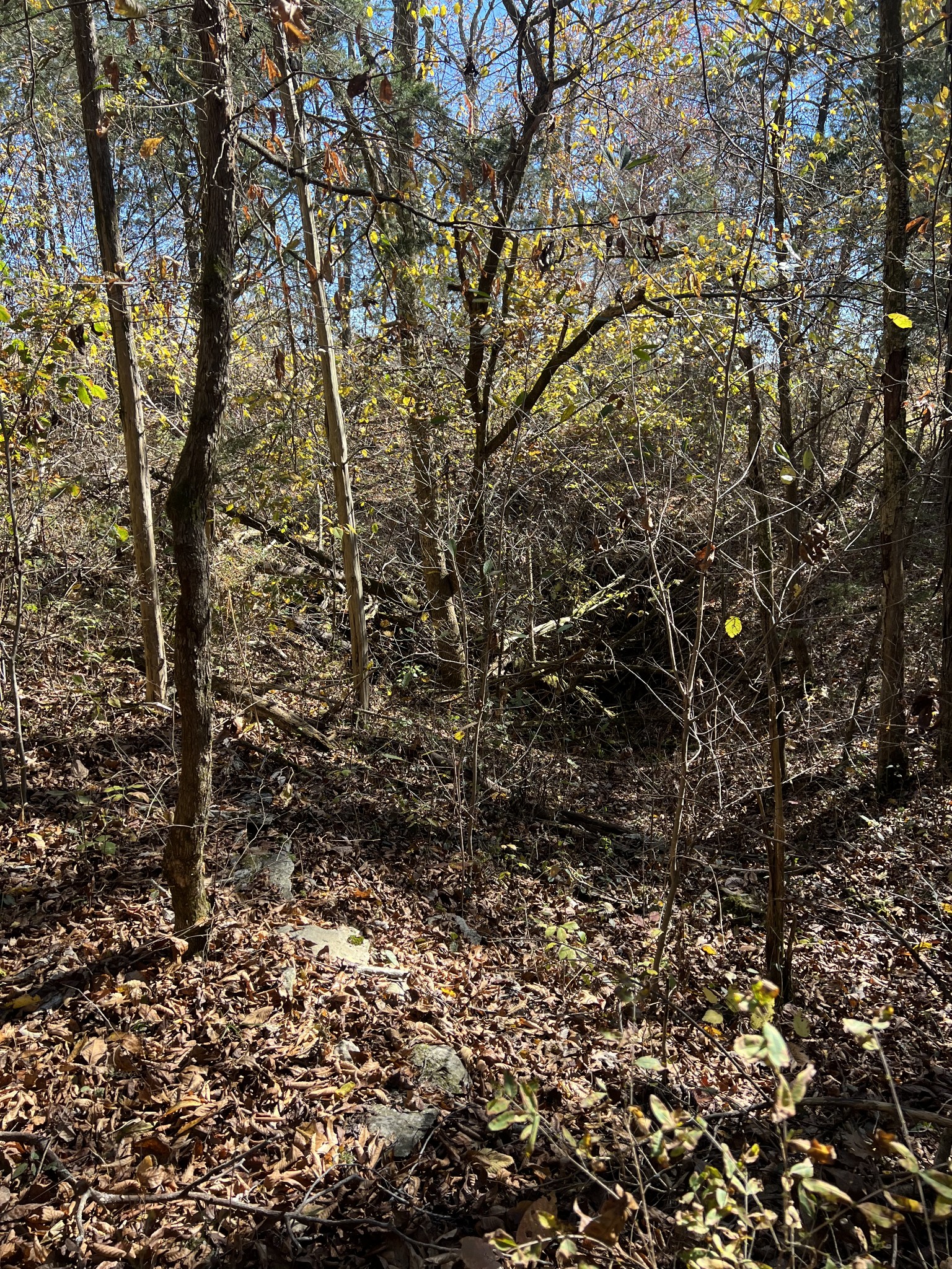 0 Rattlesnake Lodge Road Lewisburg, TN 37091 - Photo 23 of 31 Gallery Image 23