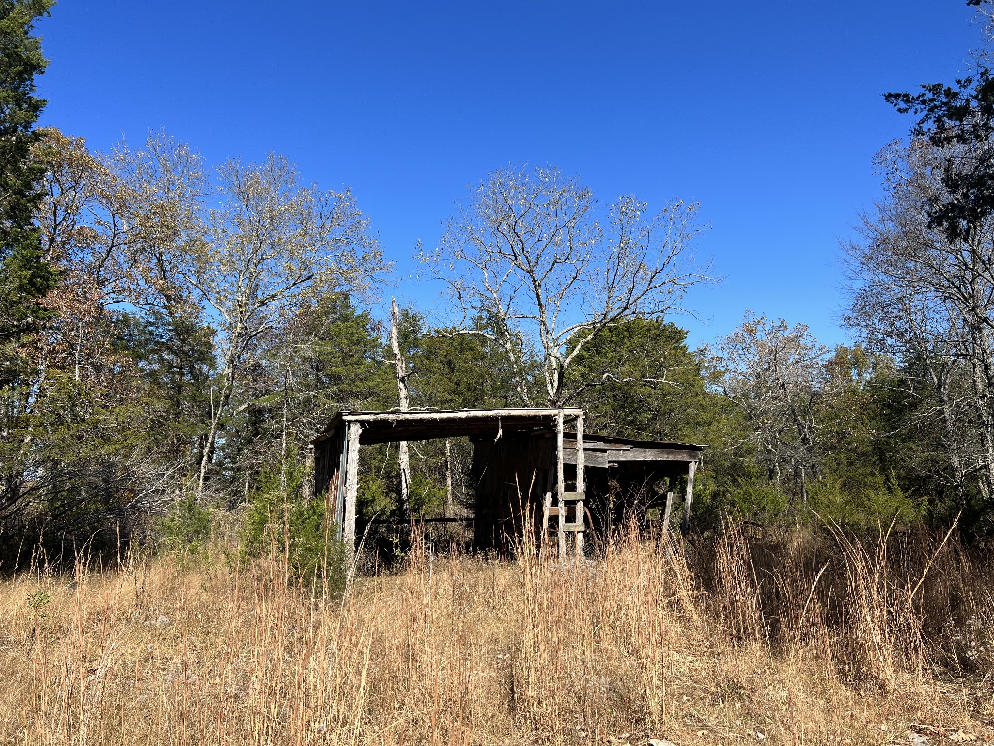 0 Rattlesnake Lodge Road Lewisburg, TN 37091 - Photo 8 of 31 Gallery Image 8