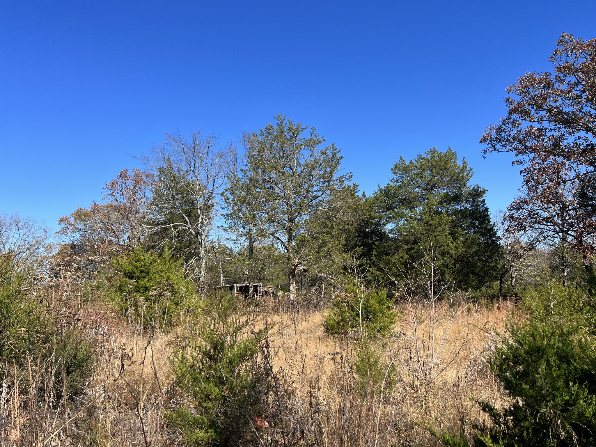 0 Rattlesnake Lodge Road Lewisburg, TN 37091 - Photo 10 of 31 Gallery Image 10