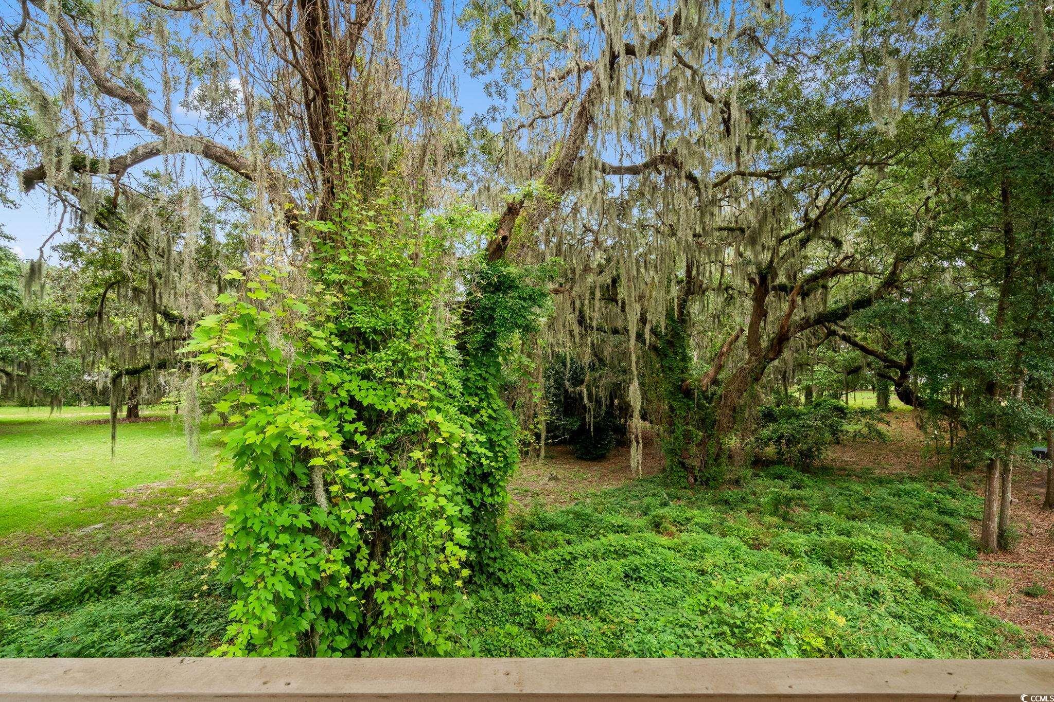 15 Flaggpoint Lane Murrells Inlet, SC 29576 - Photo 24 of 40 View from primary bedroom balcony