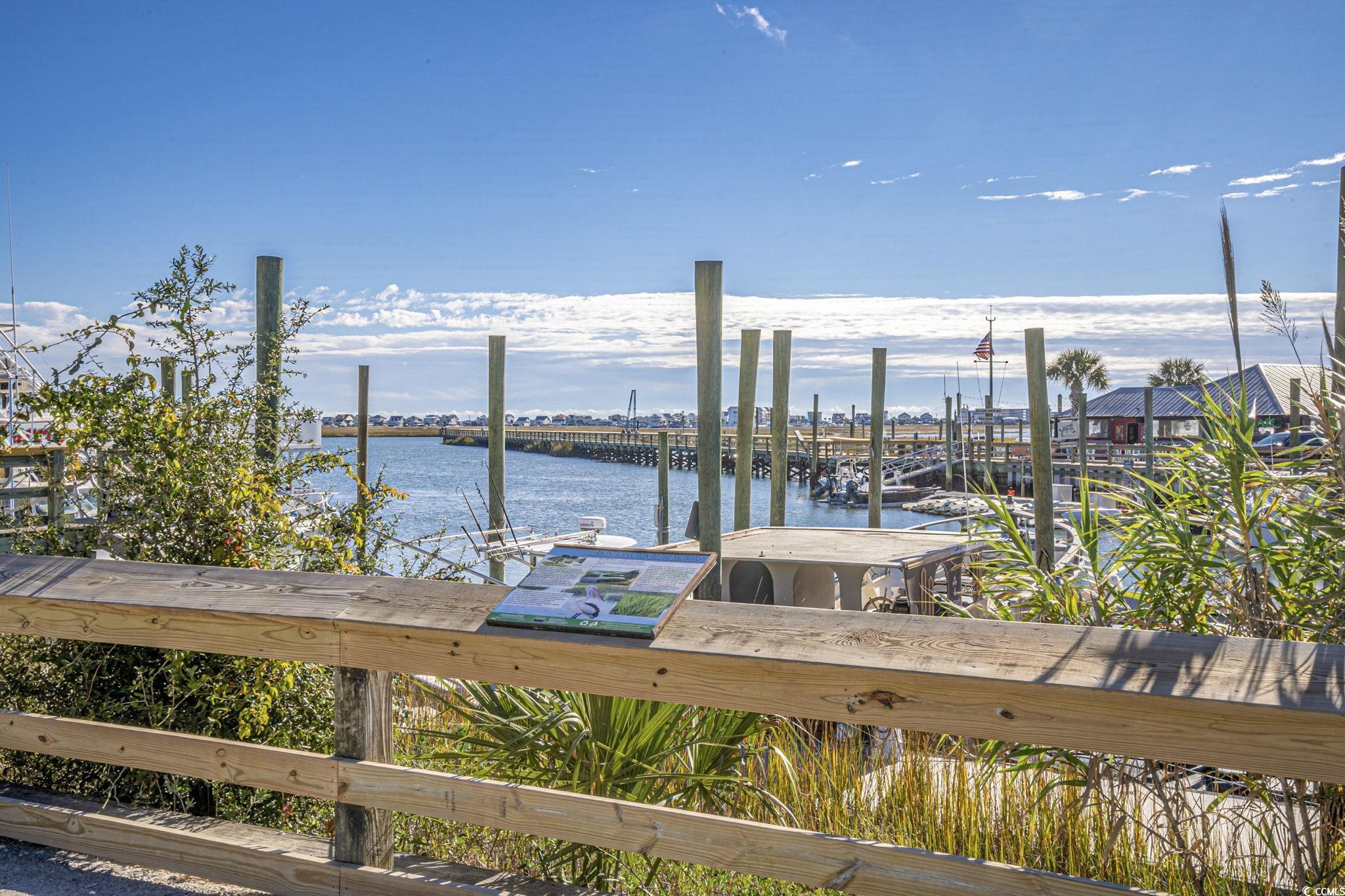 15 Flaggpoint Lane Murrells Inlet, SC 29576 - Photo 40 of 40