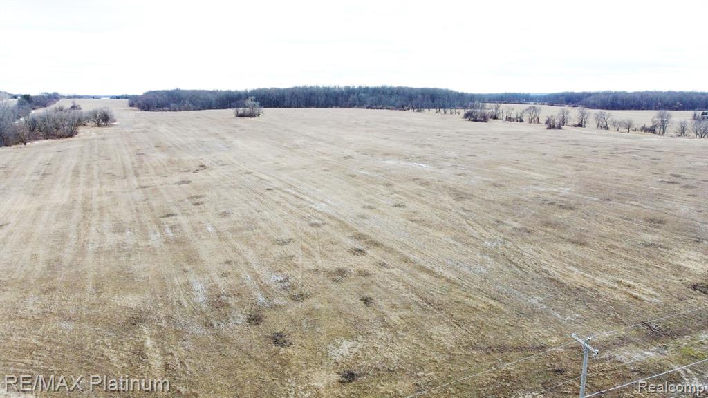 23 124 Acres Fenton, MI 48430 - Photo 4 of 6