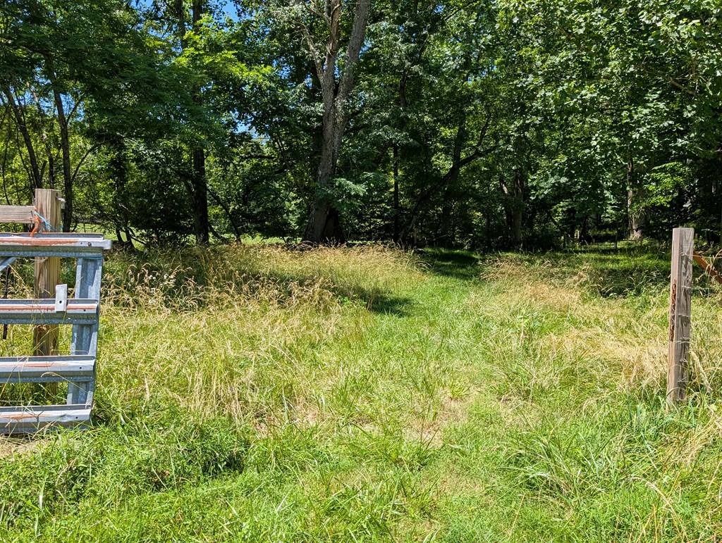 169 East Vineyard Road Hayesville, NC 28904 - Photo 16 of 61 Gallery Image 16