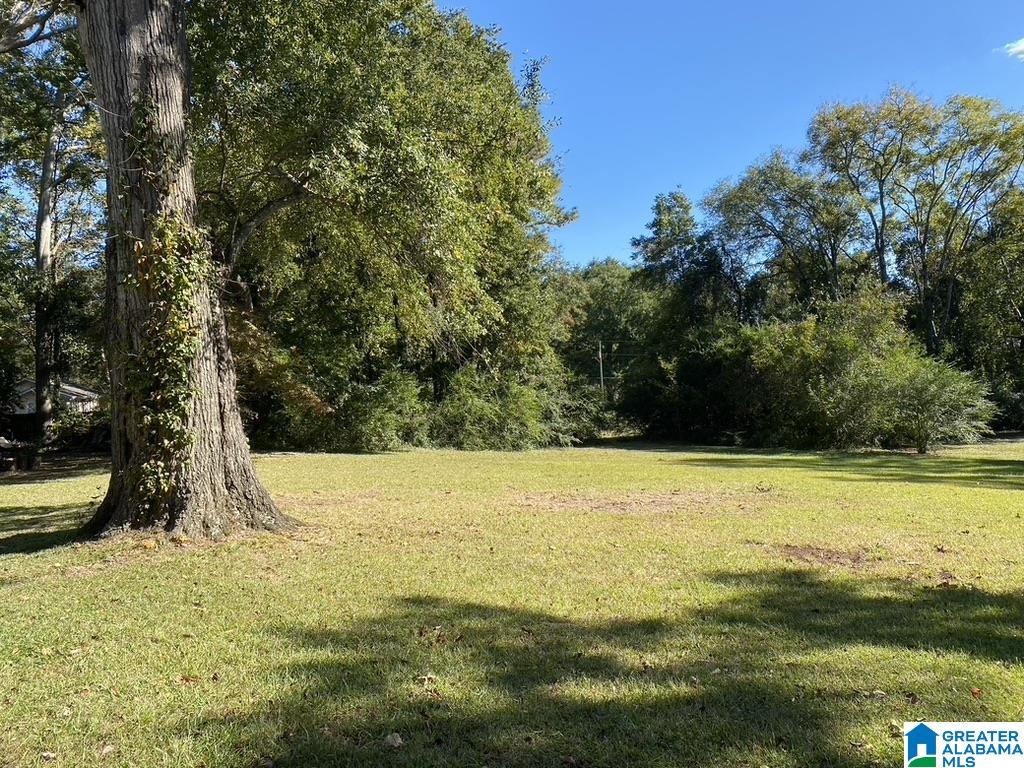 2115 29th Avenue Bessemer, AL 35023 - Photo 27 of 27