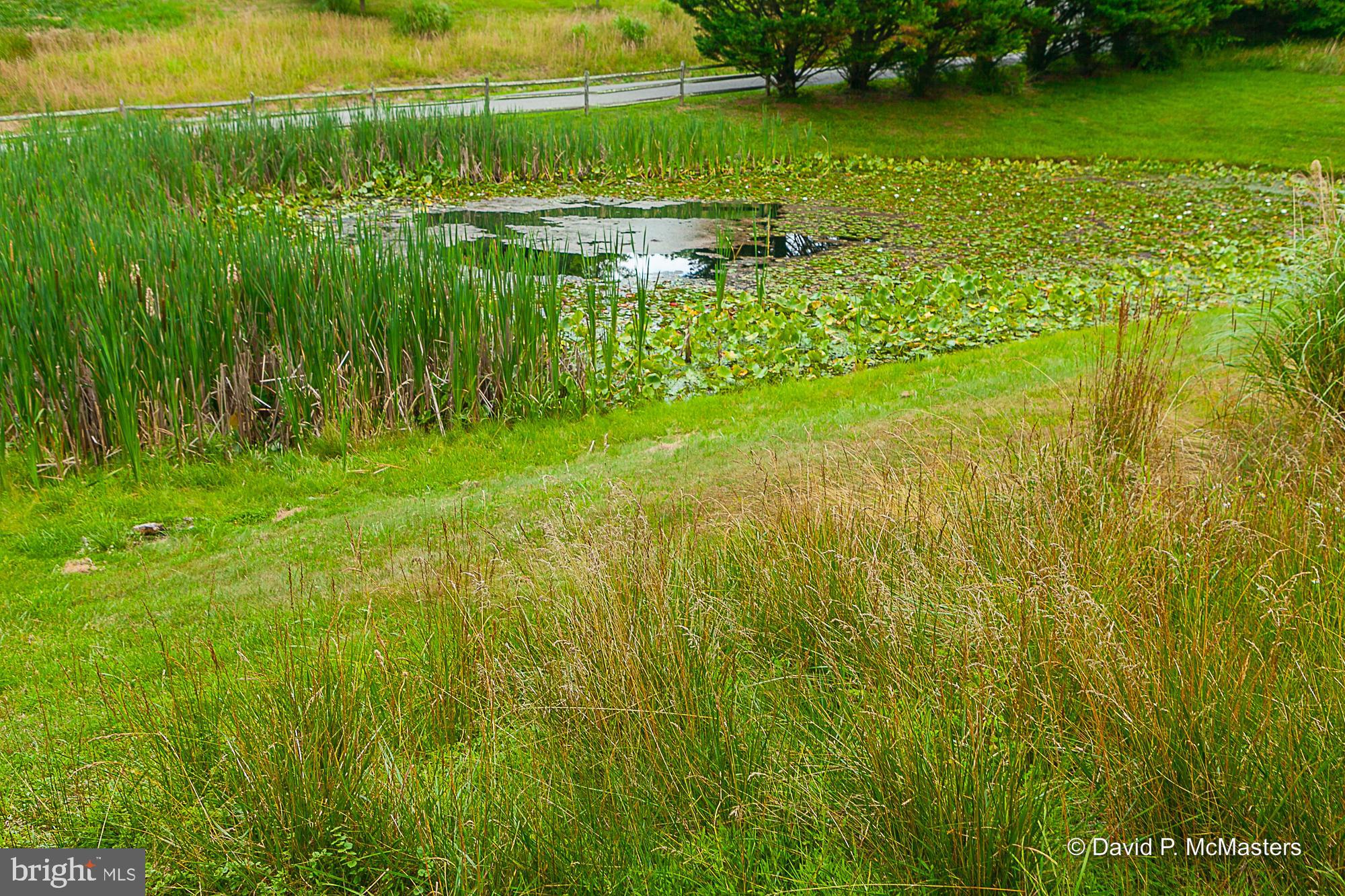 2925 Spohrs Road Berkeley Springs, WV 25411 - Photo 7 of 41 Pond, fields, woods stream Private