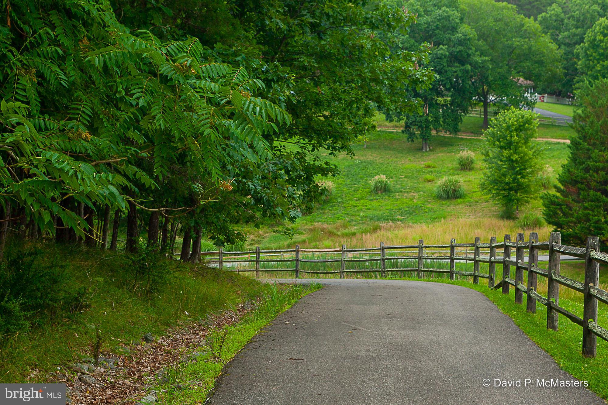 2925 Spohrs Road Berkeley Springs, WV 25411 - Photo 8 of 41 Driveway looking to pond, field One of 4 parcels