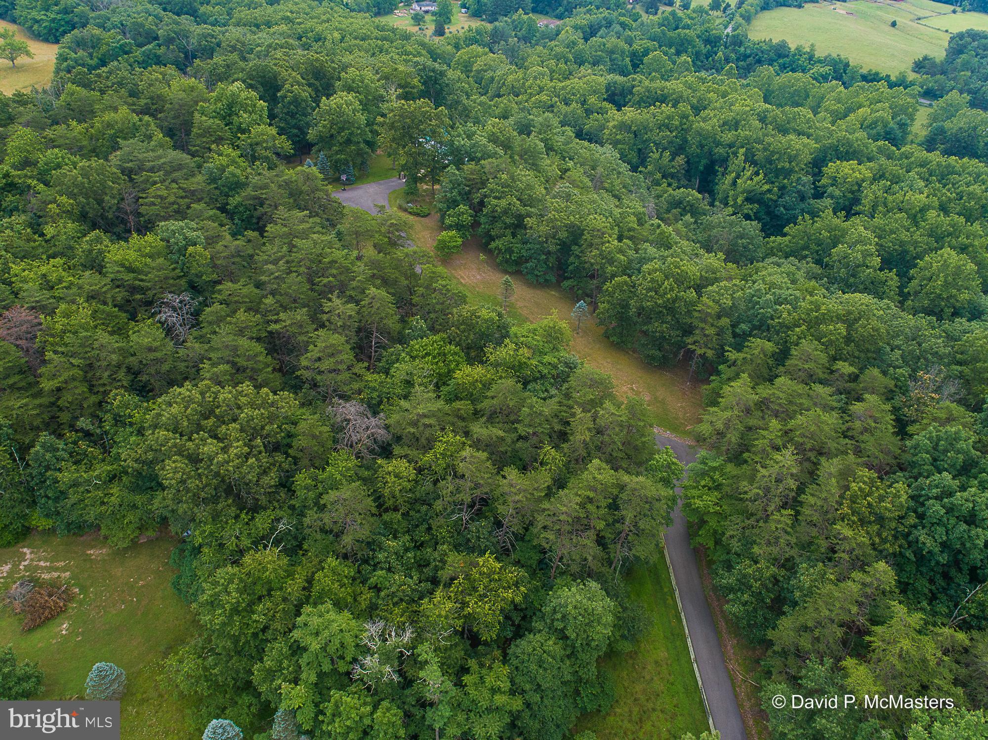 2925 Spohrs Road Berkeley Springs, WV 25411 - Photo 9 of 41 Paved drive through wooded parcels on either side.