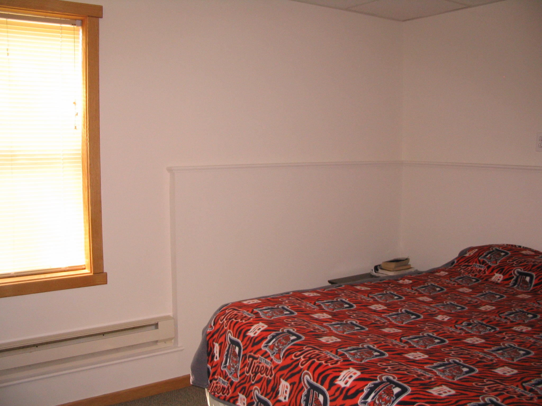 5879 Walsh Road Lewiston, MI 49756 - Photo 21 of 29 Gallery Image 21