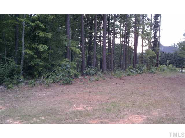 Penny Road Raleigh, NC 27606 - Photo 6 of 11 Photo 6