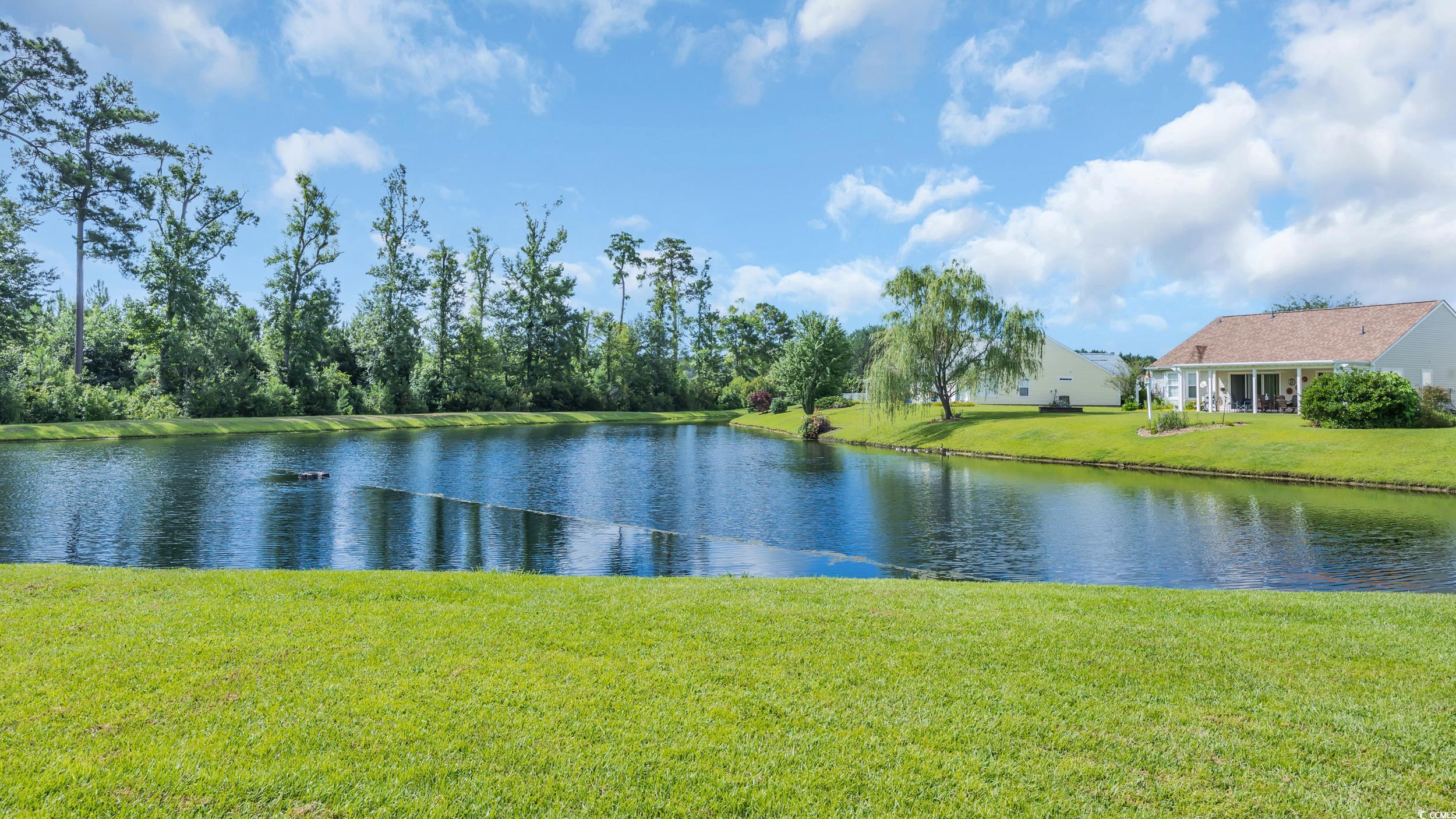 526 Eagleton Court Longs, SC 29568 - Photo 18 of 24