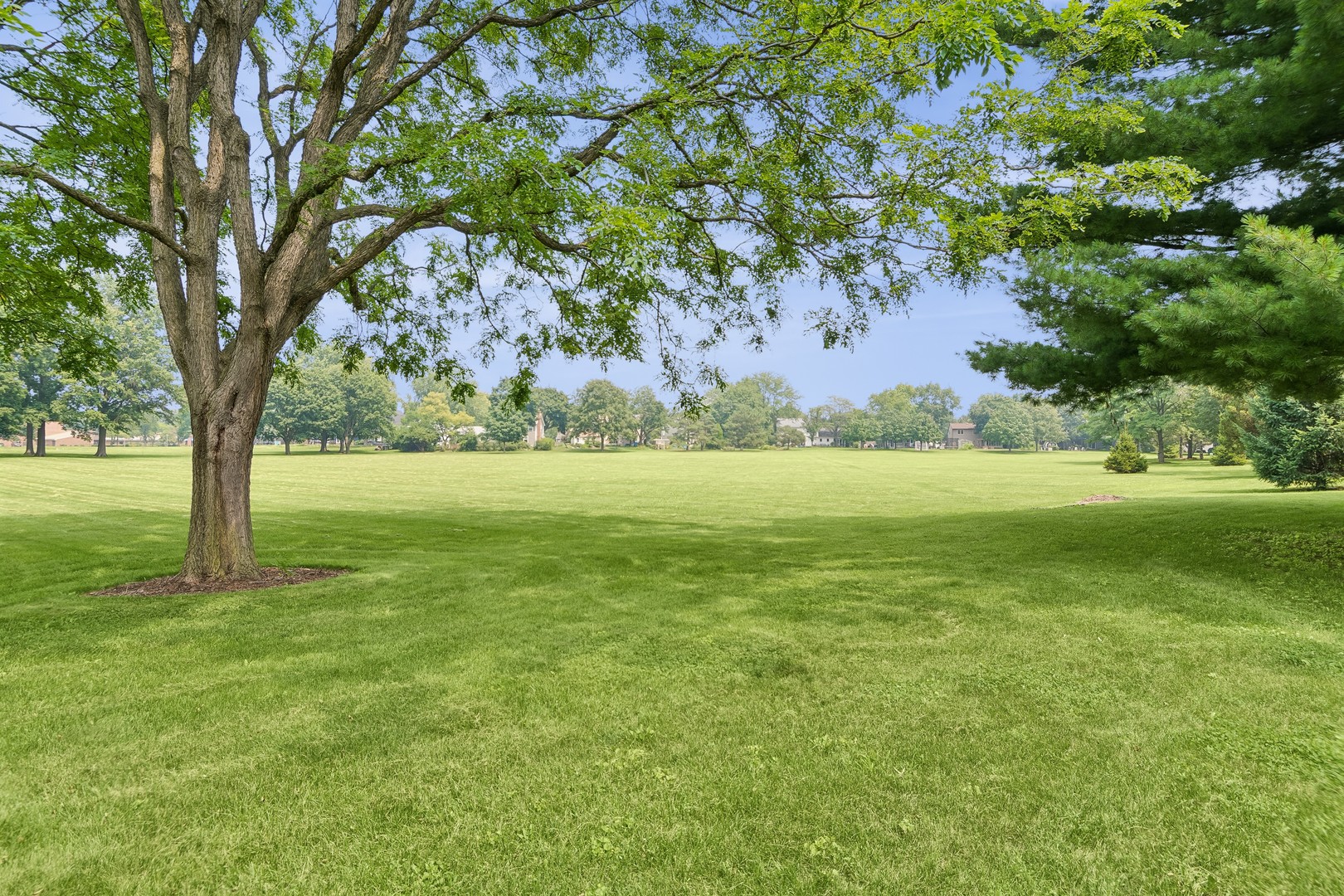 1539 Foxhill Road Naperville, IL 60563 - Photo 36 of 43 Gallery Image 36