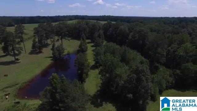 1854 Claud Fleahop Road, Unit 129 4 Eclectic, AL 36024 - Photo 34 of 50