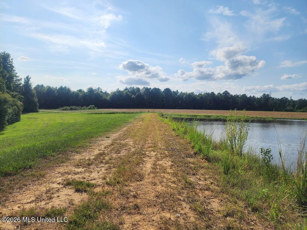 121 Molly Road Foxworth, MS 39483 - Photo 39 of 53 189199_11