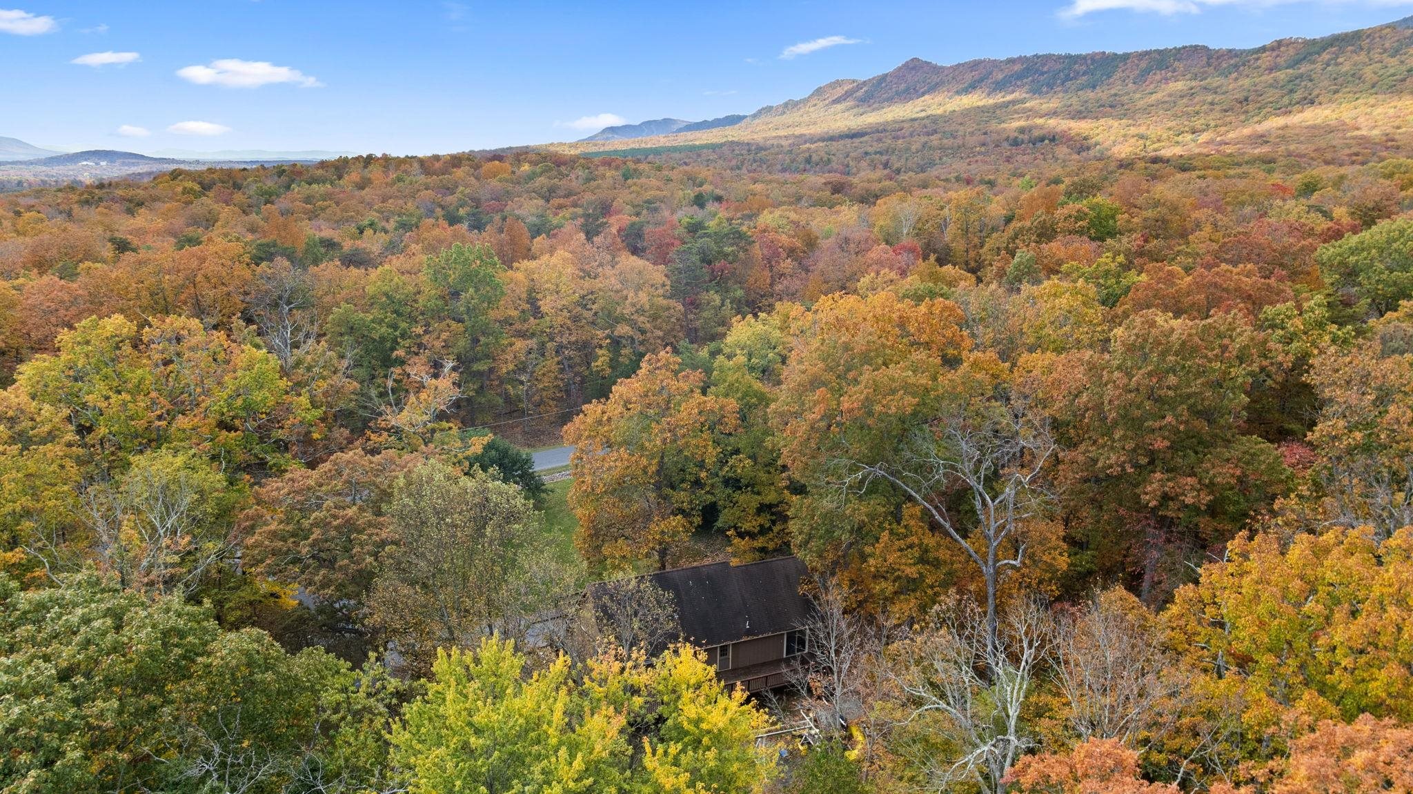 6184 Runkles Gap Road Elkton, VA 22827 - Photo 41 of 47 Gallery Image 41