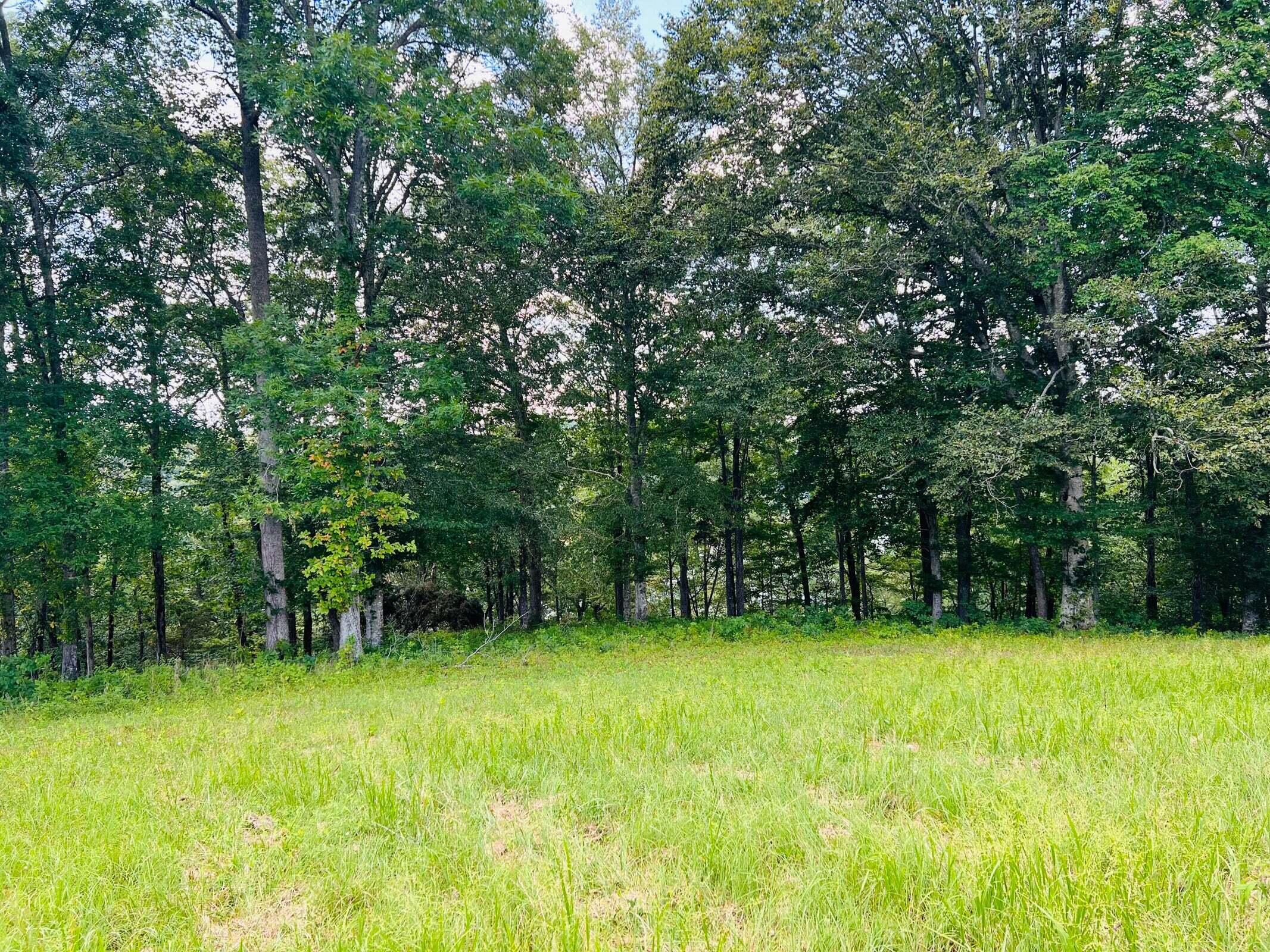 527 Dockery Road Russell Springs, KY 42642 - Photo 5 of 13 20230802142656845756000000-o