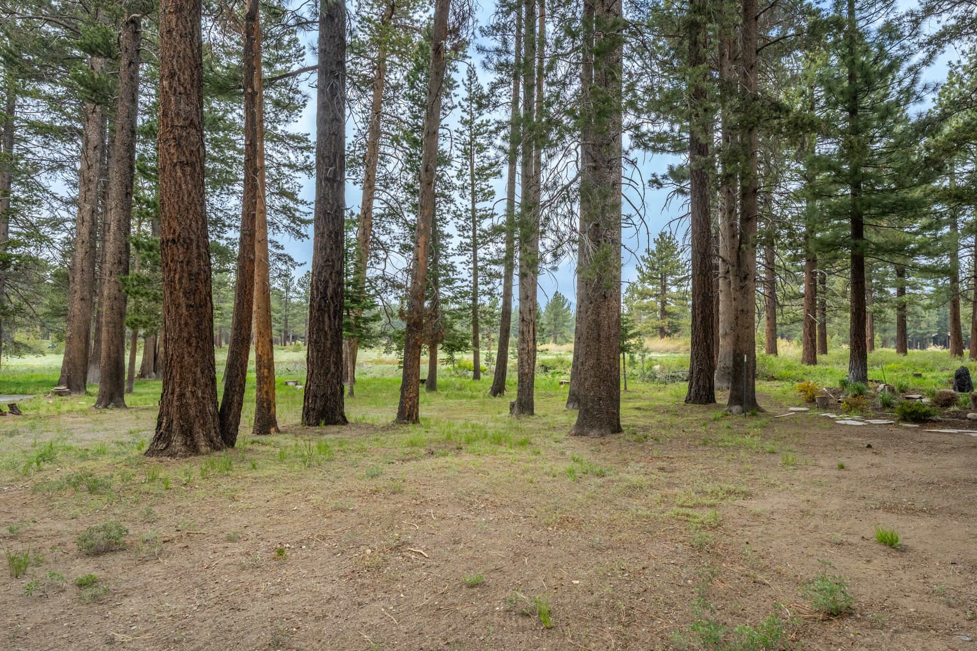 272 Ridge Way Mammoth Lakes, CA 93546 - Photo 51 of 55 Wooded property featuring mature trees and natural ground cover