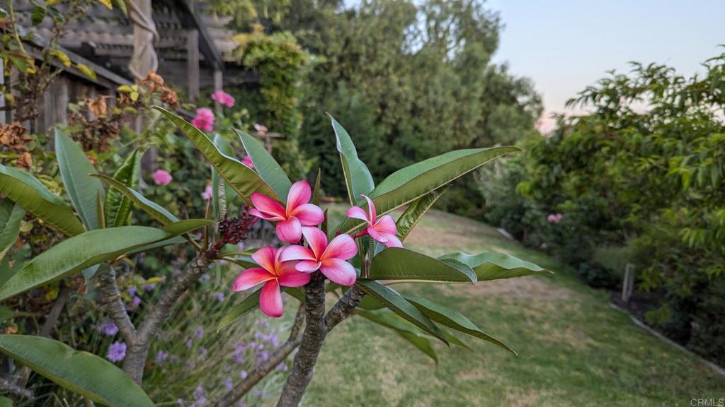 1107 Prospect Circle Vista, CA 92081 - Photo 45 of 52 a view of a flower in a yard