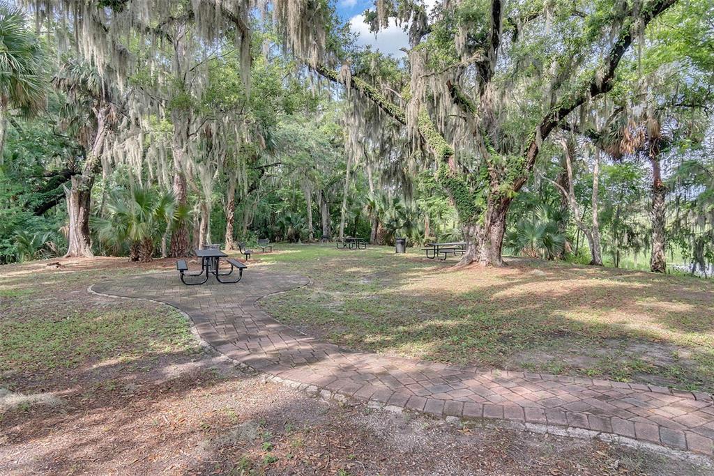 127 Verde Way DeBary, FL 32713 - Photo 54 of 77 a view of outdoor space with trees