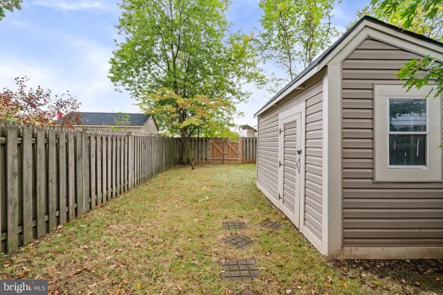 a view of backyard and tree