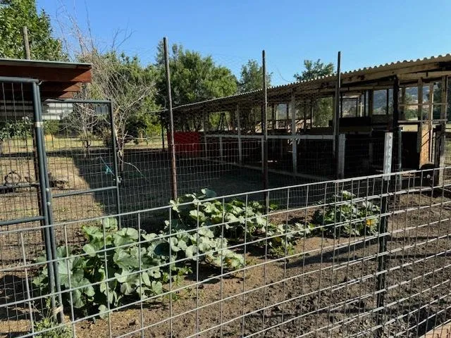 $745,000 | 17058 Road 57, Guinda, CA 95637