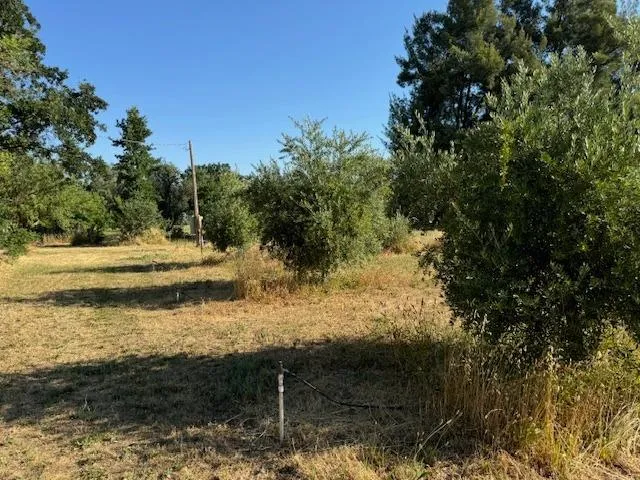 $745,000 | 17058 Road 57, Guinda, CA 95637