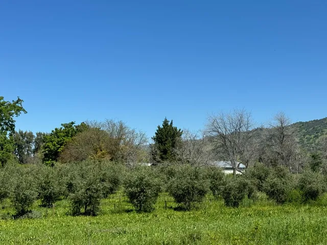 $745,000 | 17058 Road 57, Guinda, CA 95637