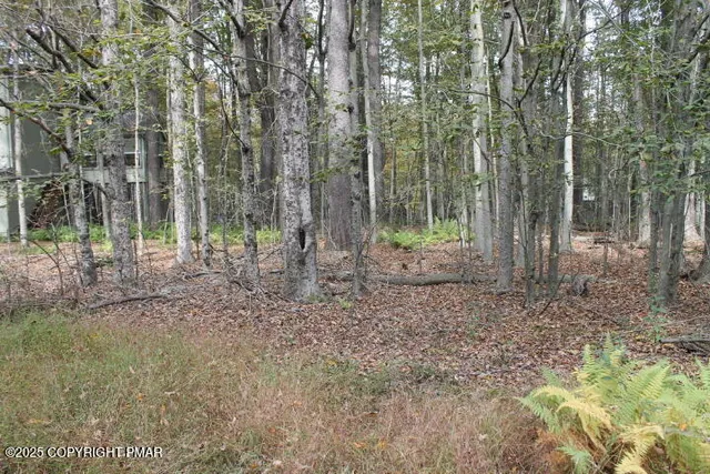 a view of a house with a yard and tree s