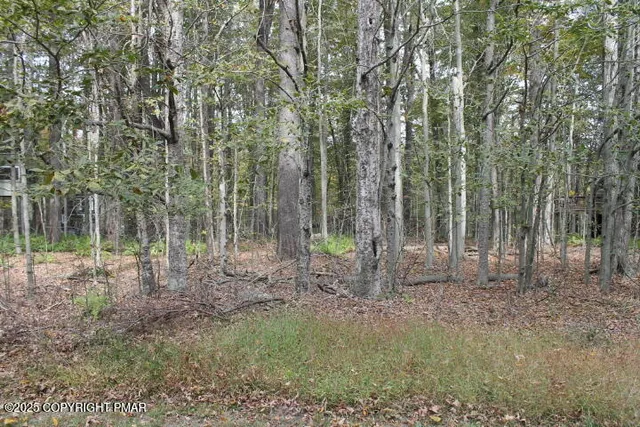 a view of outdoor space and green space