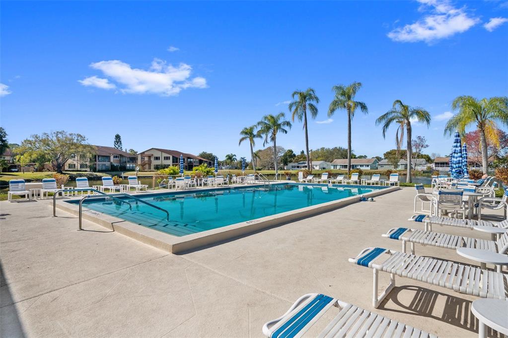 4440 Pelorus Drive New Port Richey, FL 34652 - Photo 59 of 76