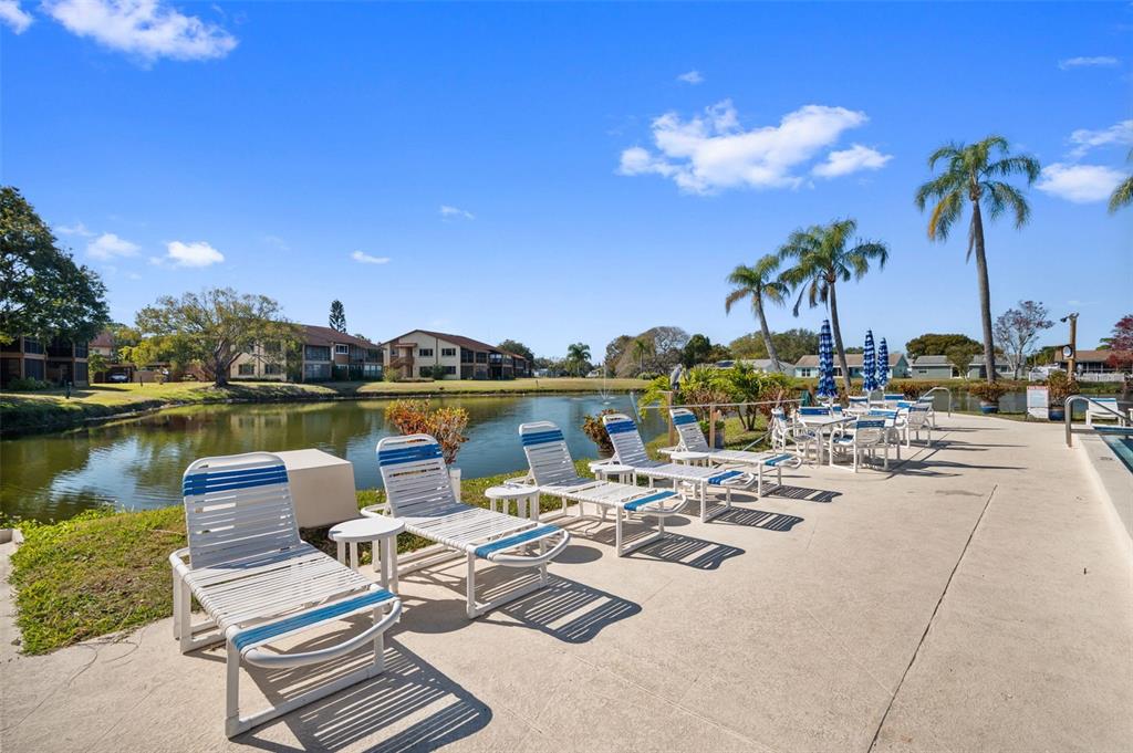 4440 Pelorus Drive New Port Richey, FL 34652 - Photo 61 of 76