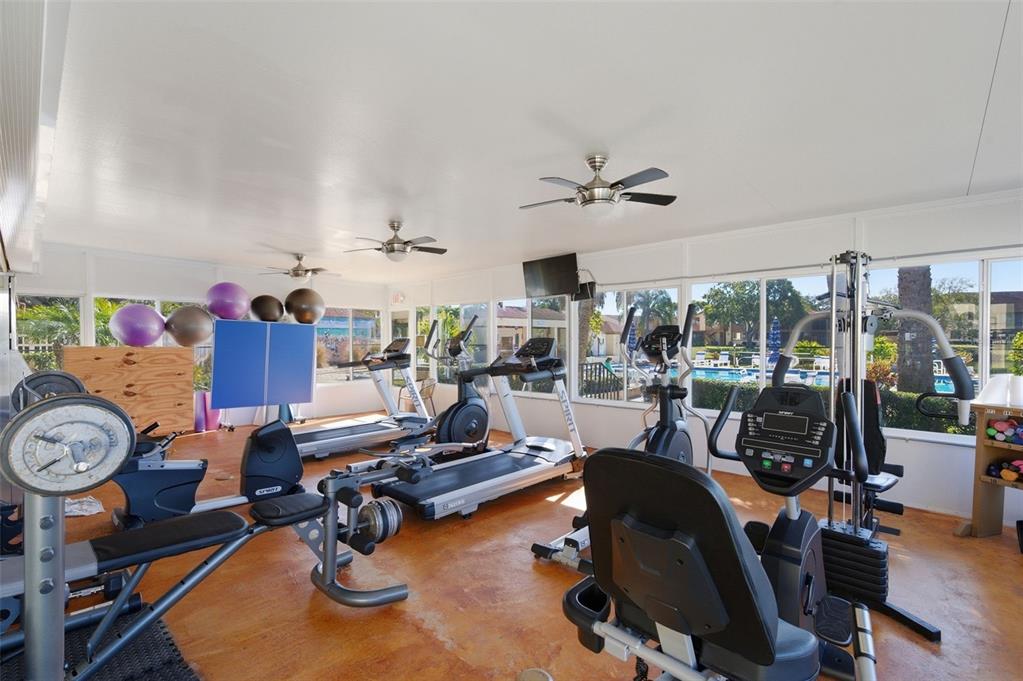 4440 Pelorus Drive New Port Richey, FL 34652 - Photo 68 of 76