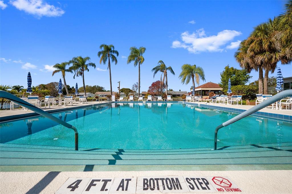 4440 Pelorus Drive New Port Richey, FL 34652 - Photo 7 of 76