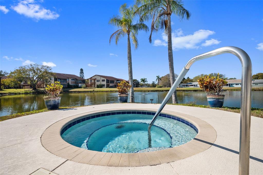 4440 Pelorus Drive New Port Richey, FL 34652 - Photo 8 of 76